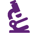 icon_seo-research